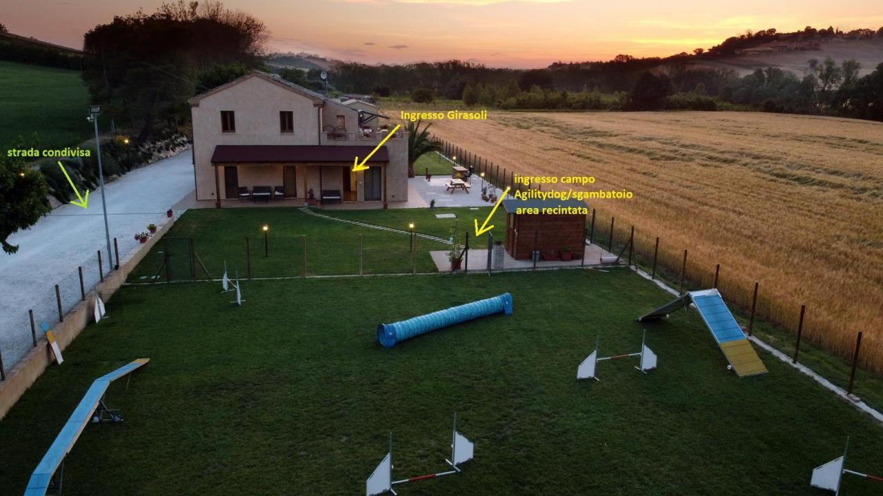 Casa Montefiore 13 Girasoli Lt Nella Tranquilla Campagna Marchigiana Ancona Exterior foto